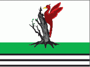 elabuzhskij-rajon